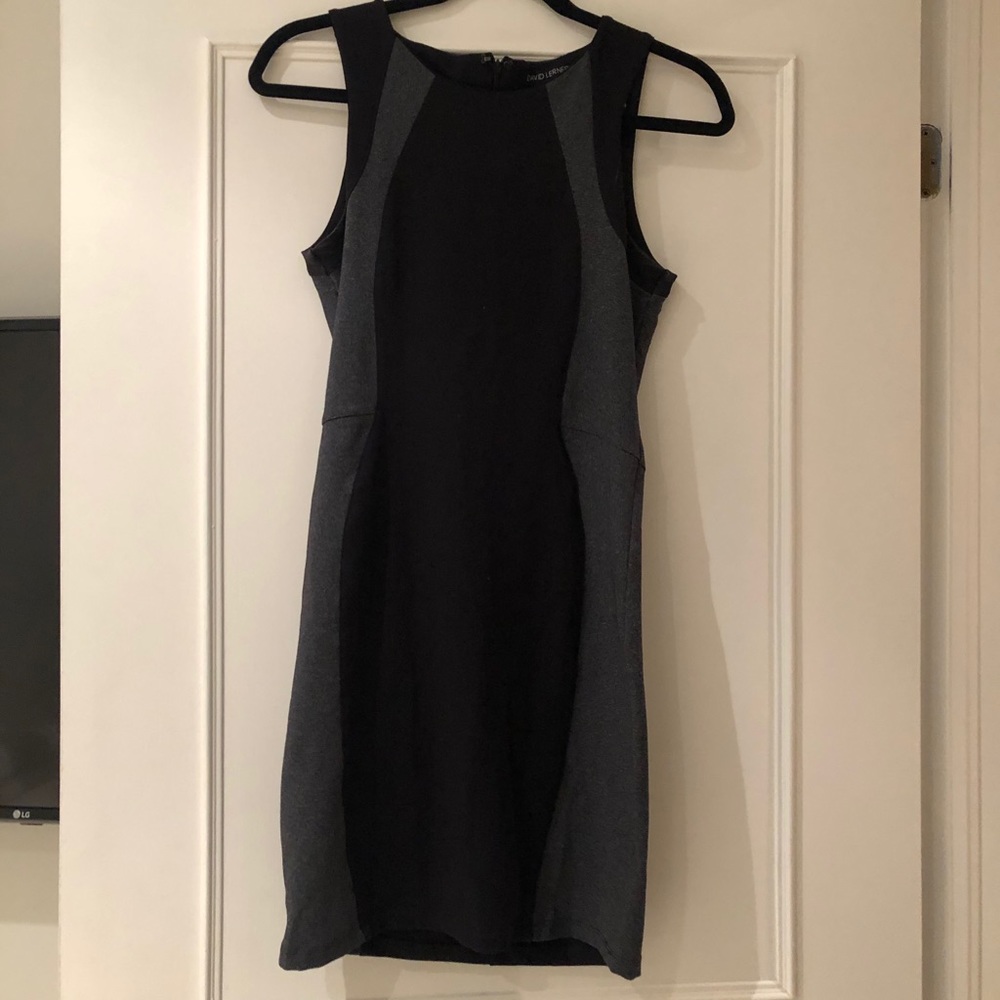 David Lerner two tone dress